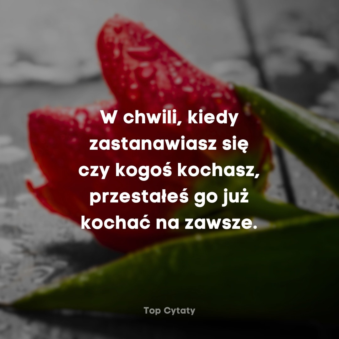 Czerwona róża ze zroszoną płatkami na rozmytym tle z tekstem: 'W chwili, kiedy zastanawiasz się, czy kogoś kochasz...'