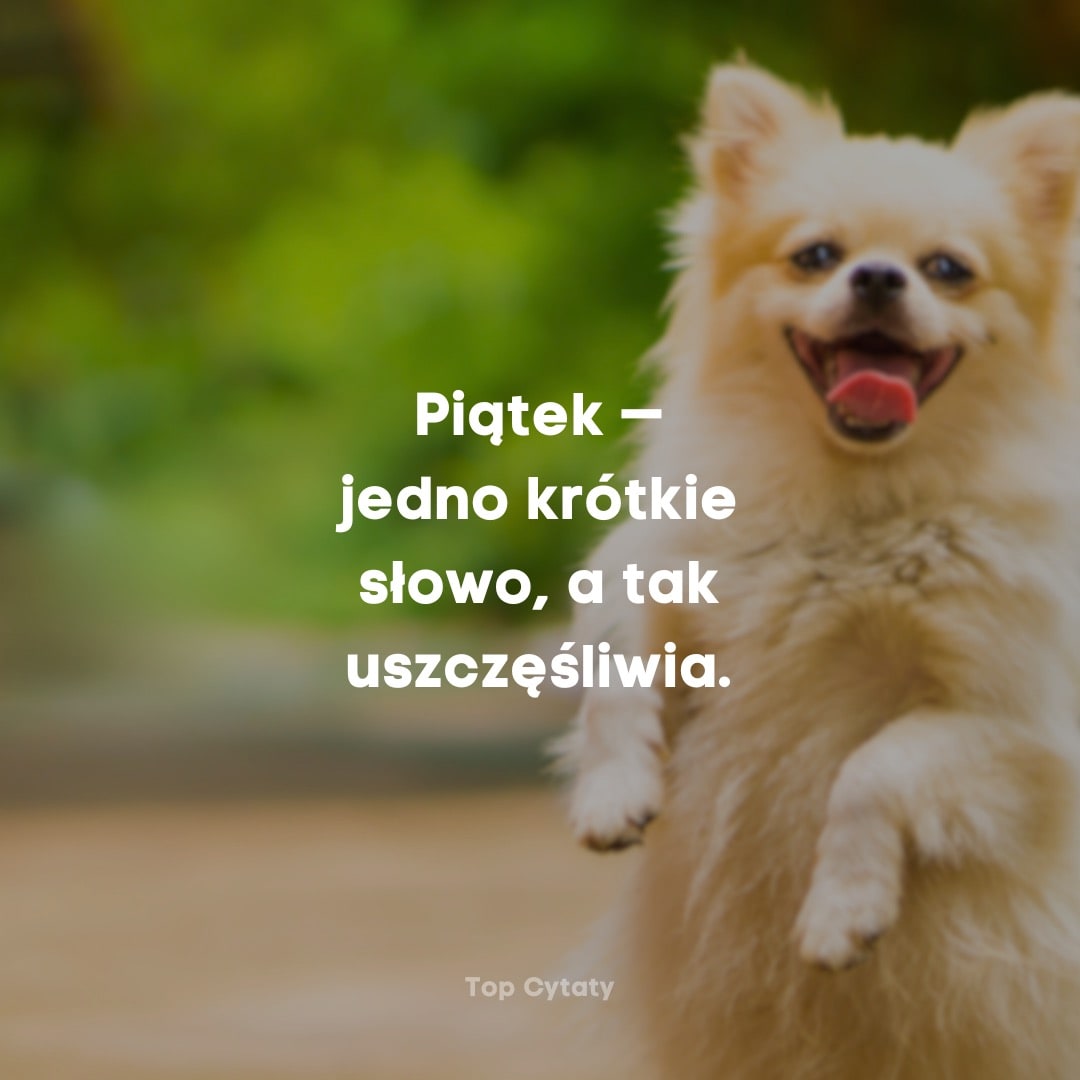 Piątek — jedno krótkie słowo, a tak uszczęśliwia.