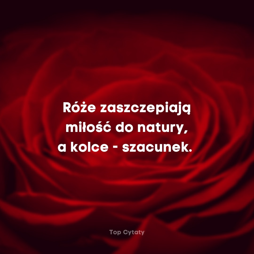 Róże zaszczepiają miłość do natury, a kolce - szacunek. Anton Ligov