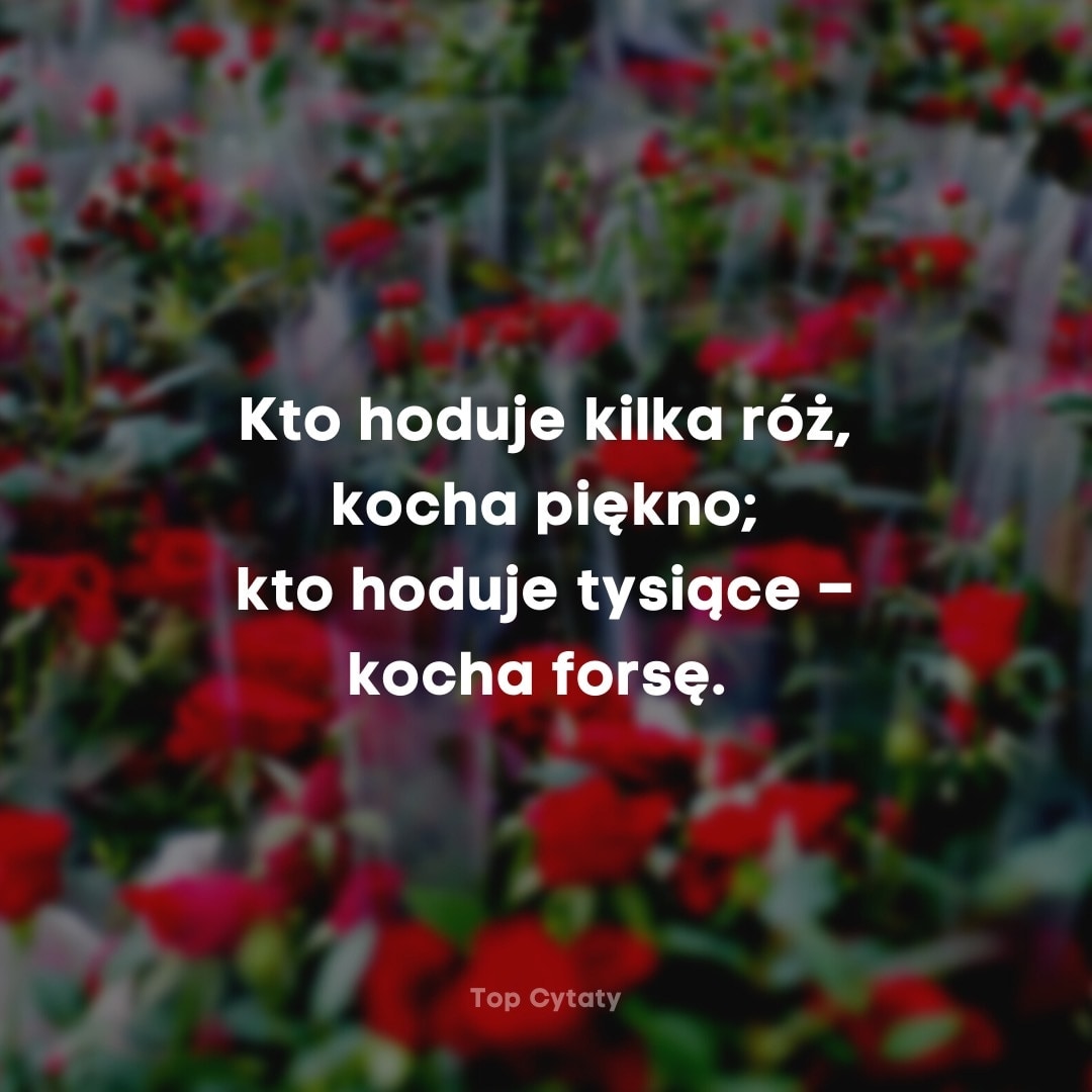 Kto hoduje kilka róż, kocha piękno; kto hoduje tysiące – kocha...